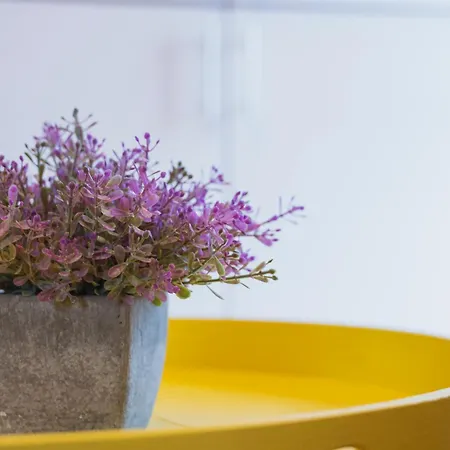 Casa De Amancio Lavacolla