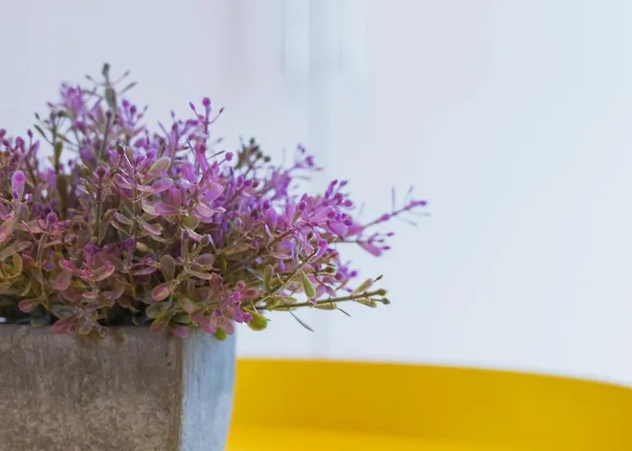 Casa De Amancio 라바콜라